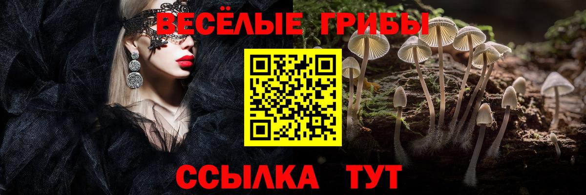 Галлюциногенные грибы прущие грибы Калач-на-Дону